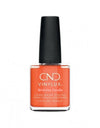 Vernis Shellac