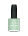 Vernis Shellac