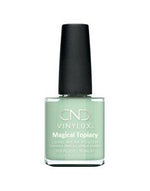 Vernis Shellac